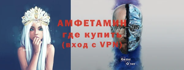 прущие грибы Пересвет