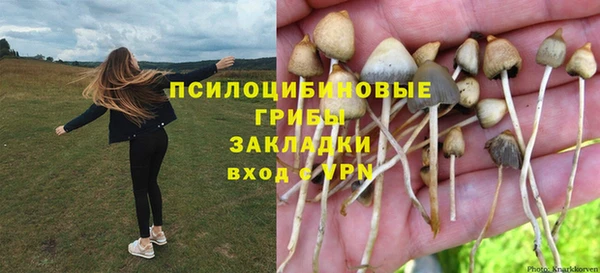 PSILOCYBIN Ельня