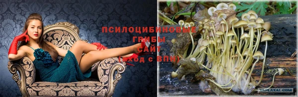 mix Бородино