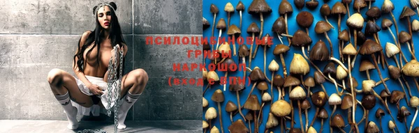 мескалин Горняк