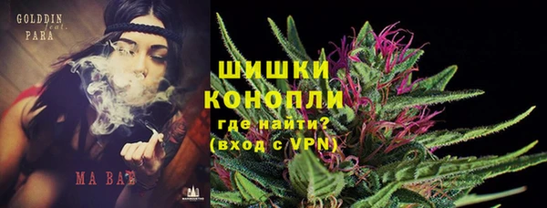 МДПВ Осташков