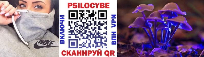 OMG рабочий сайт  Губкинский  Псилоцибиновые грибы Magic Shrooms 