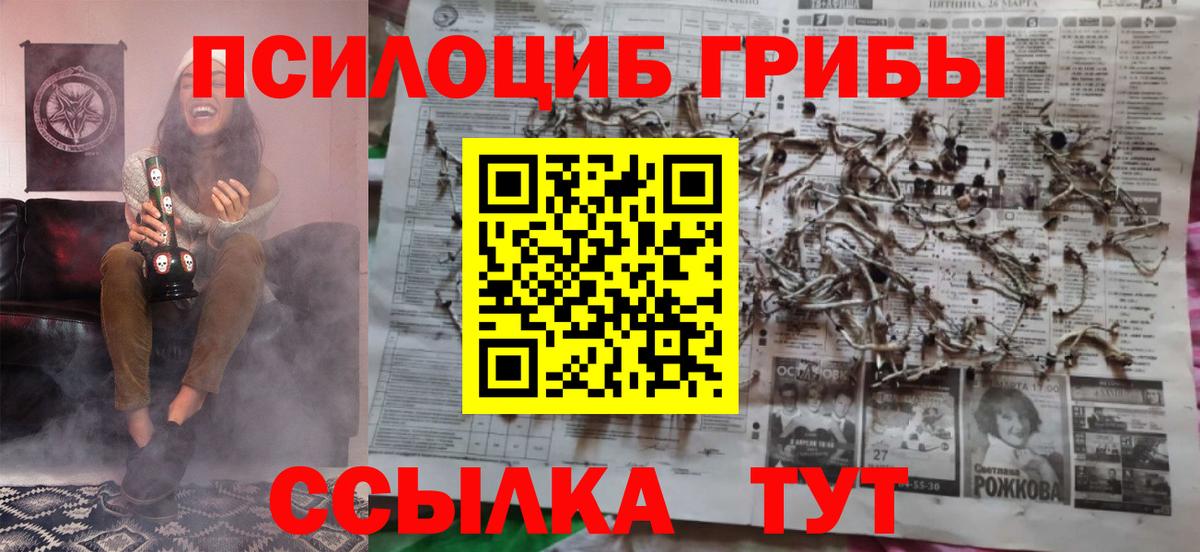 Псилоцибиновые грибы Psilocybine cubensis Губкинский