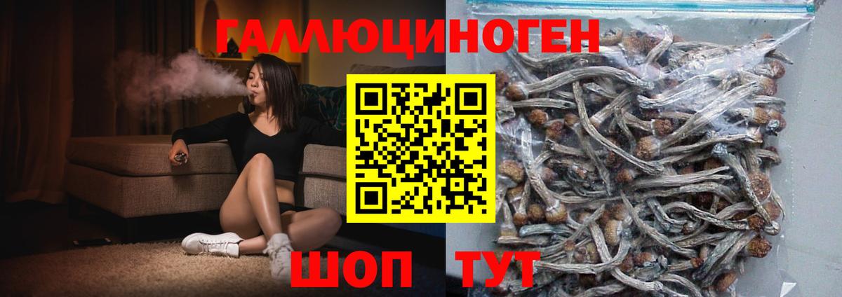 Псилоцибиновые грибы прущие грибы  Псилоцибиновые грибы мухоморы  Губкинский 