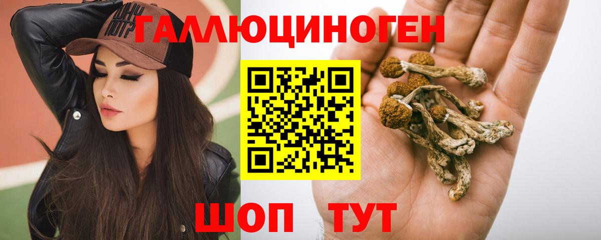 Галлюциногенные грибы ЛСД  Галлюциногенные грибы Psilocybine cubensis  Вход с VPN  Губкинский 